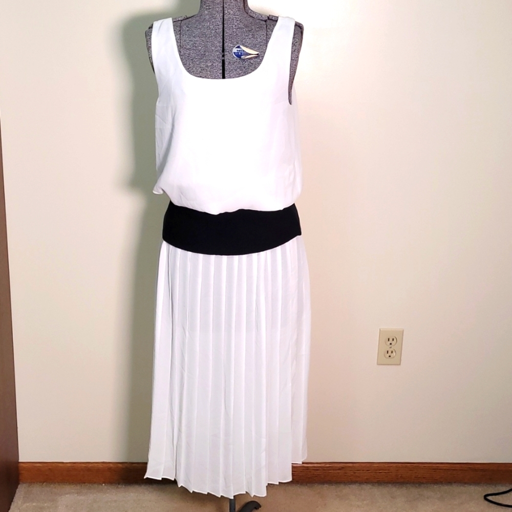 Vintage 80s Raoul Dress Sheer Pleated Size 10